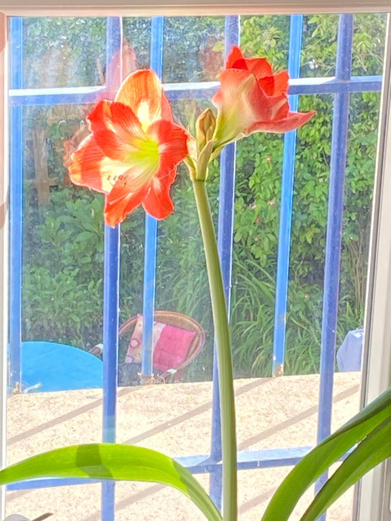 Haut De Jardin Dans Une Maison Dijon Exterior photo